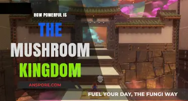 Mushroom Kingdom: Nature's Powerhouse of Health and Longevity