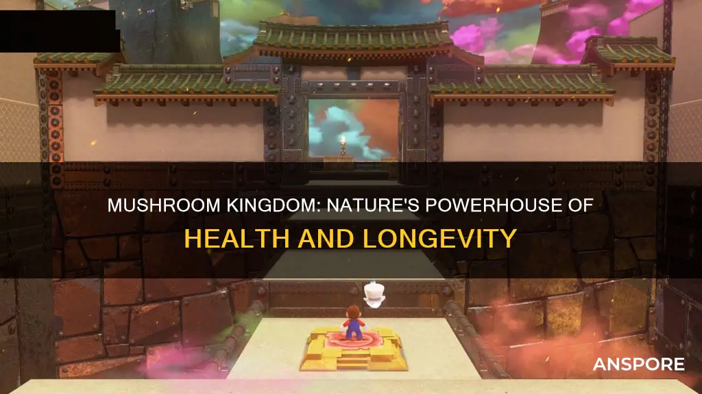 how powerful is the mushroom kingdom