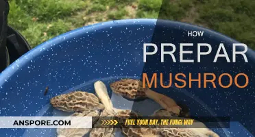 Mushroom Preparation: A Step-by-Step Guide