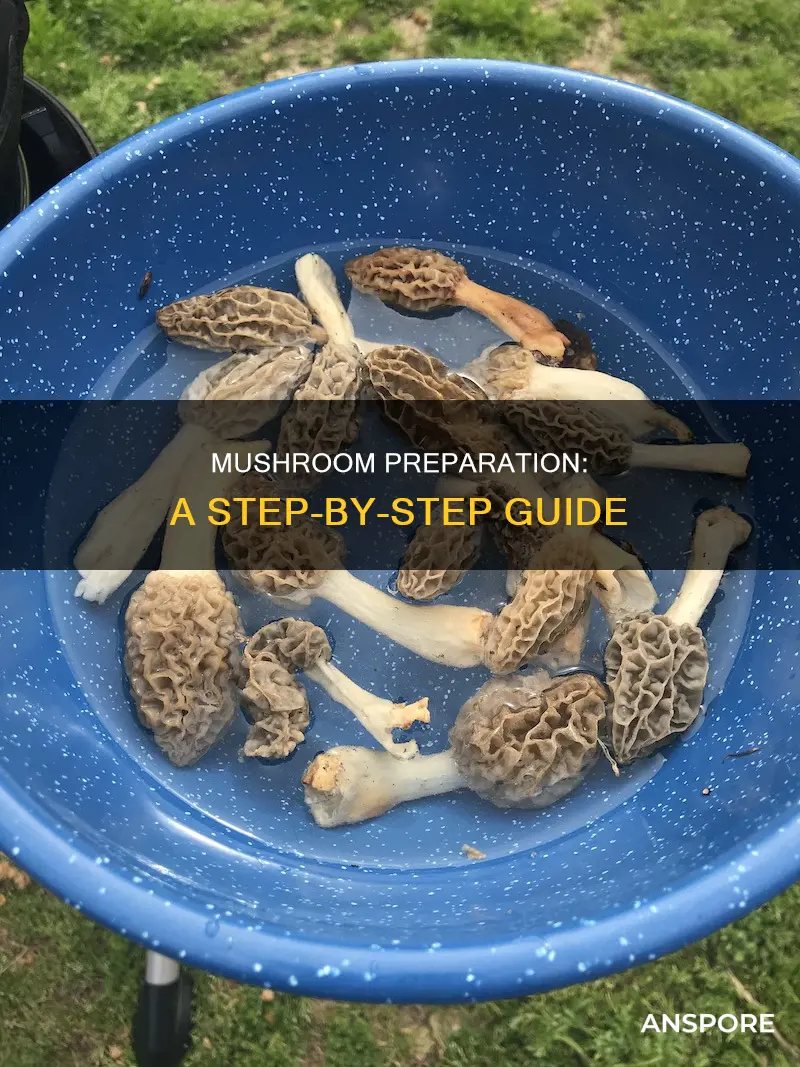 how prepare mushrooms