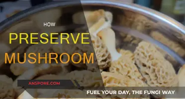 Mushrooms: Keep Them Fresh, Longer