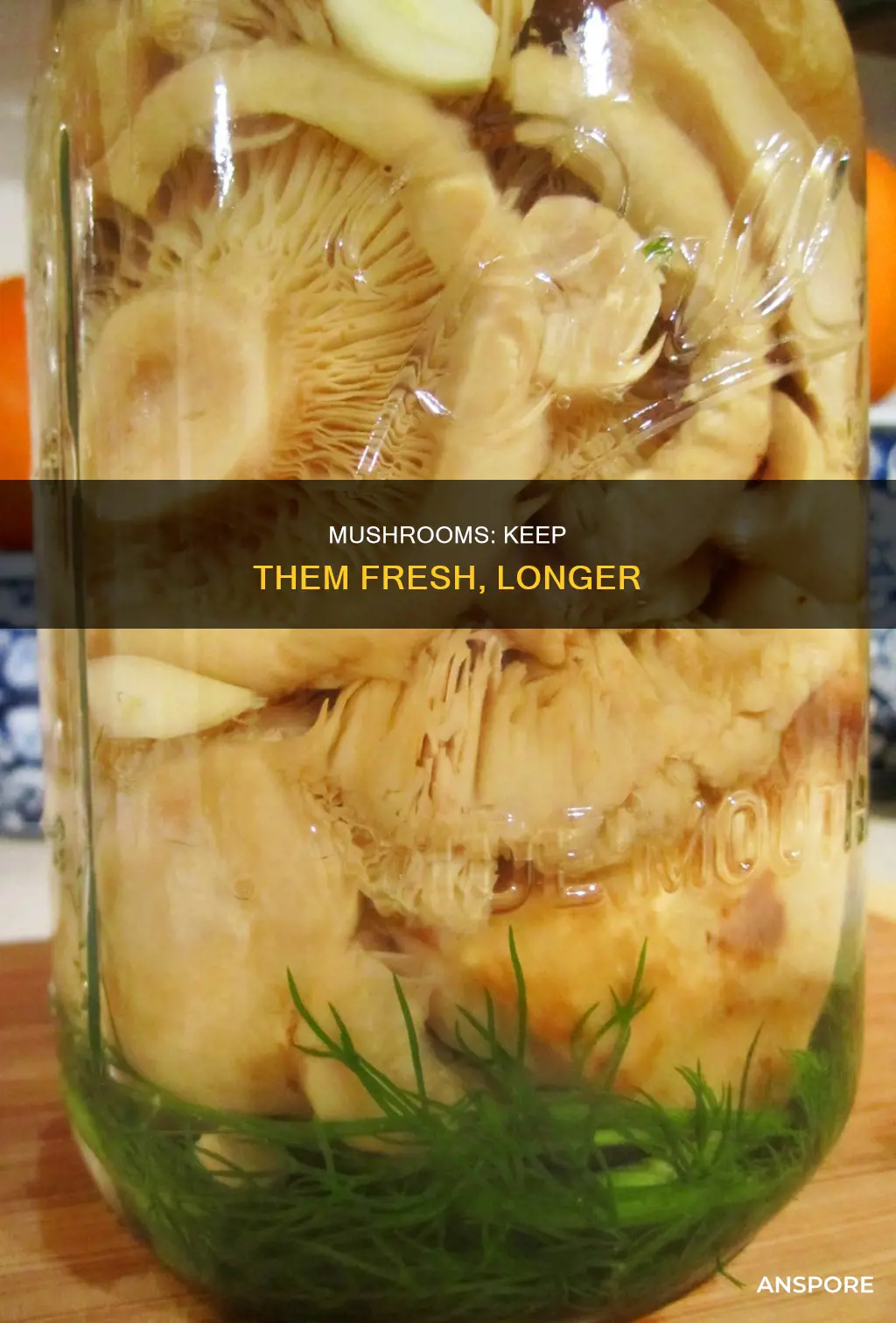 how preserve mushrooms