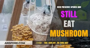 Preserving Spores Safely: Enjoying Mushrooms Without Compromising Health