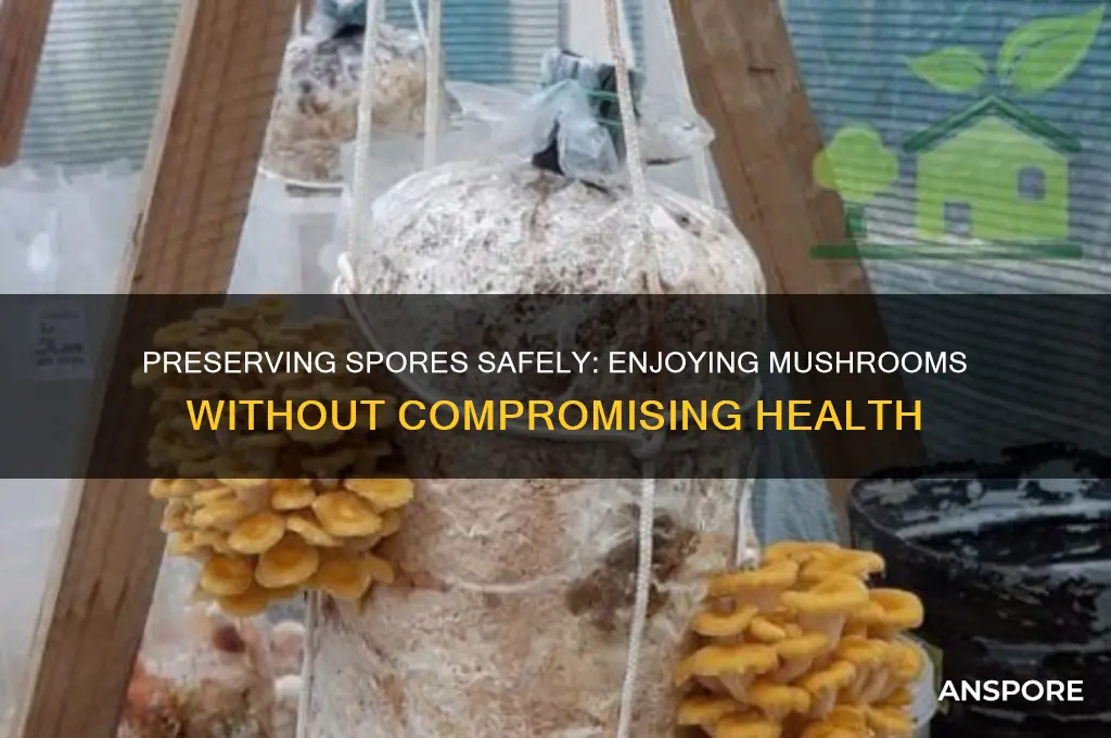 how preserve spores and still eat mushroom