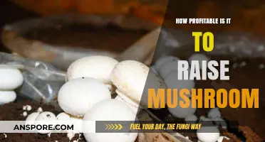 Mushroom Cultivation: A Profitable Venture?
