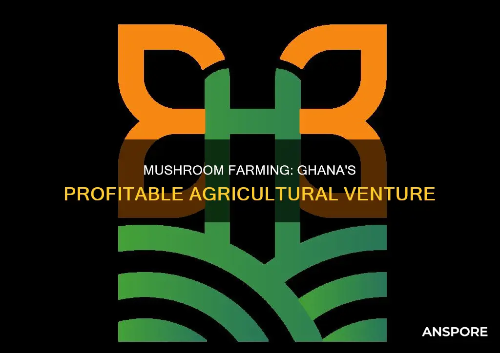how profitable is mushroom farming in ghana