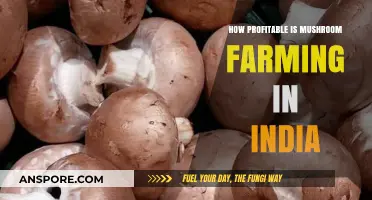 Mushroom Farming in India: A Lucrative Business?