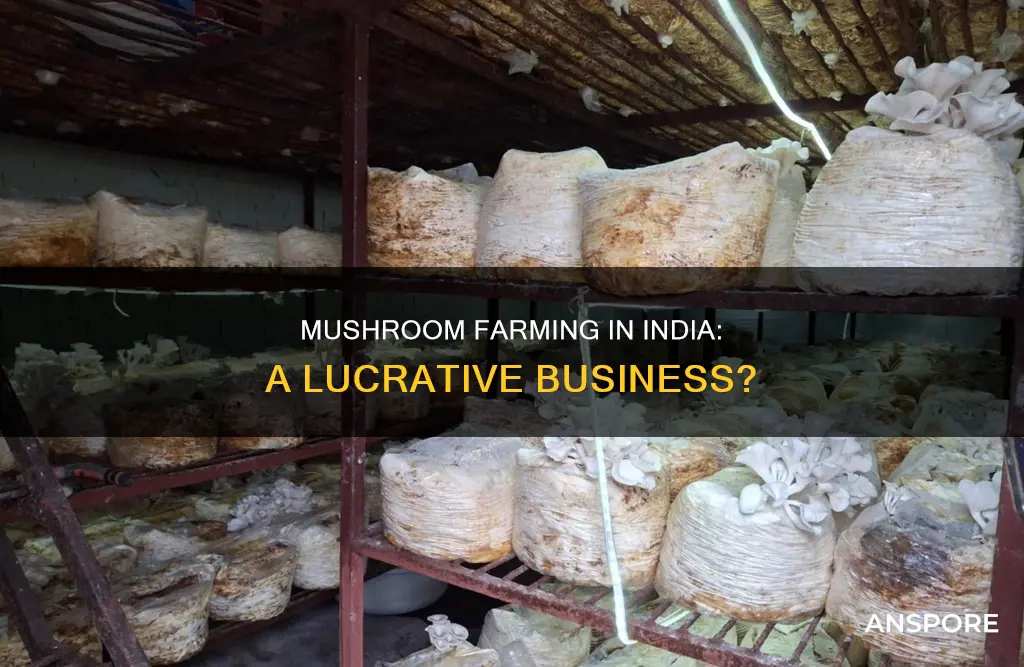 how profitable is mushroom farming in india