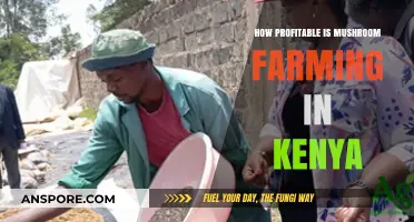 Mushroom Farming: A Profitable Venture in Kenya?