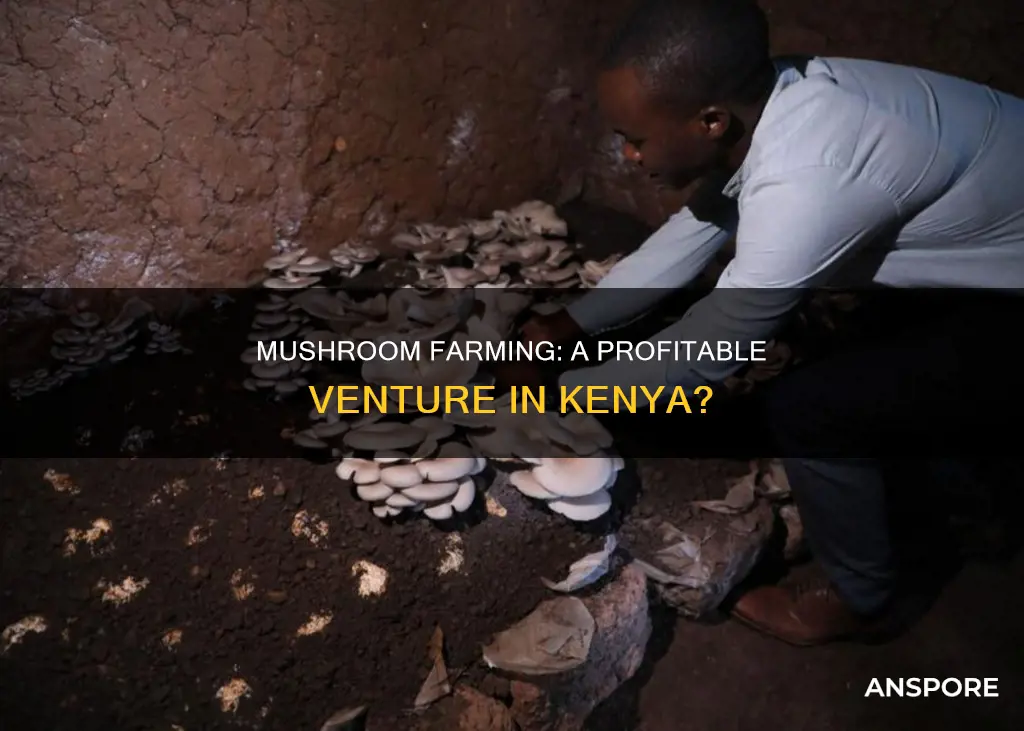 how profitable is mushroom farming in kenya