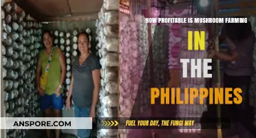 Mushroom Farming: A Profitable Venture in the Philippines?