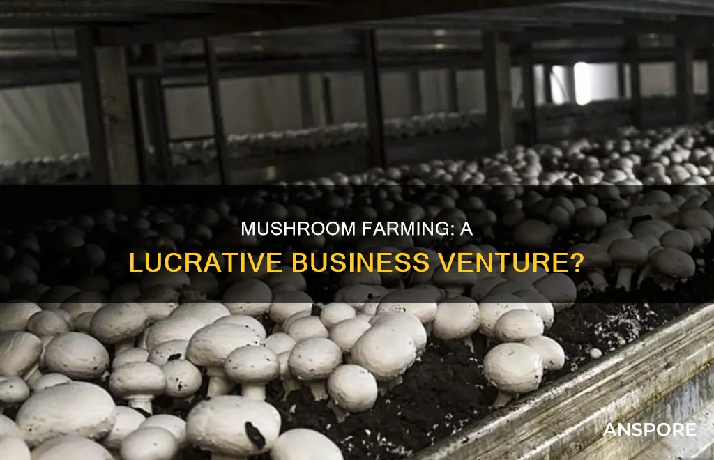 how profitable is mushroom farming