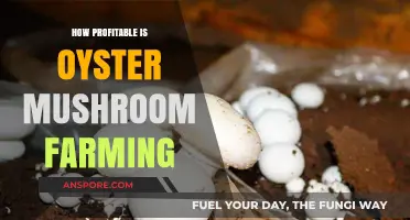 Oyster Mushroom Farming: A Profitable Venture?