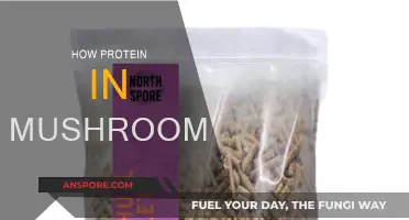 Mushrooms: A Protein Powerhouse