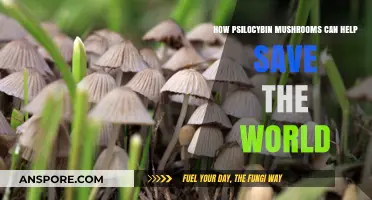 Psilocybin Mushrooms: Unlocking Global Healing and Environmental Solutions