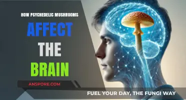 Psychedelic Mushrooms: Unlocking the Brain's Secrets
