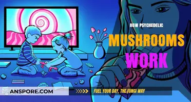 Psychedelic Mushrooms: A Journey into the Mind