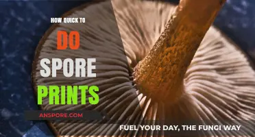 Quick Guide: Mastering Spore Prints in Minutes – Simple Steps