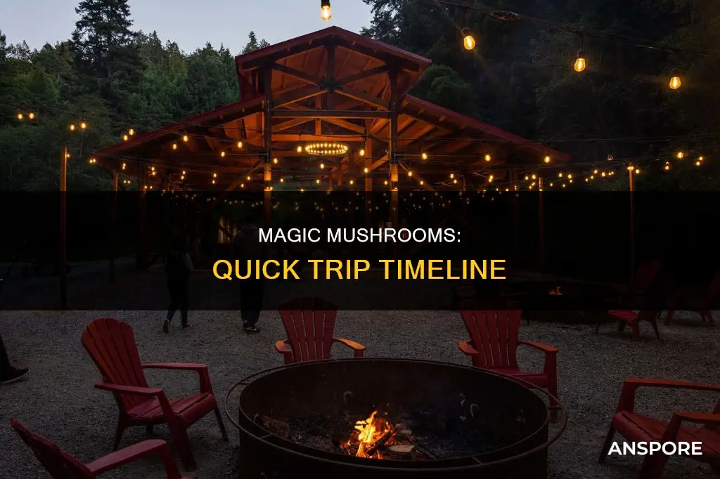 how quickly do mushrooms kick in