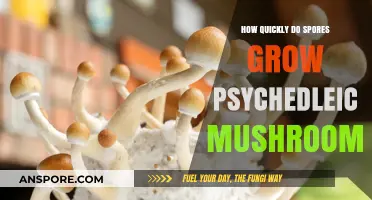 Rapid Growth of Psychedelic Mushroom Spores: A Comprehensive Guide