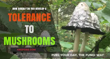 Developing Mushroom Tolerance: How Fast Does It Happen?