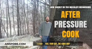 Perfect Timing: Inoculating Mushrooms Post-Pressure Cook for Optimal Growth
