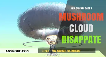 Mushroom Clouds: How Long Do They Last?