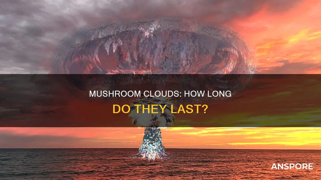 how quickly does a mushroom cloud disappate