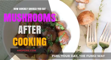 Maximizing Flavor: Optimal Timing for Enjoying Cooked Mushrooms