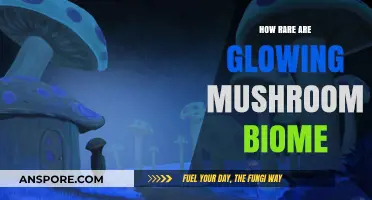 The Mystifying World of Glowing Mushroom Biomes