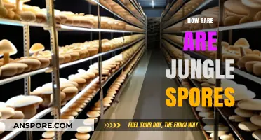 Unveiling the Mystery: How Rare Are Jungle Spores in Nature?