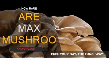 The Elusive Max Mushrooms: Nature's Rare Delights