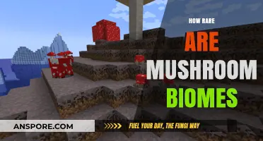 Mushroom Biomes: Rare and Unique Environments