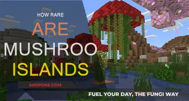 Mushroom Islands: Rare and Beautiful