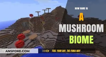 Exploring the Mushroom Biome: How Rare and Unique Are They?