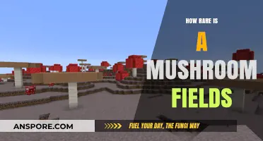 Mushroom Fields: A Rare and Beautiful Wonder