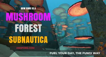 Mushroom Forests: A Rare Subnautica Sight