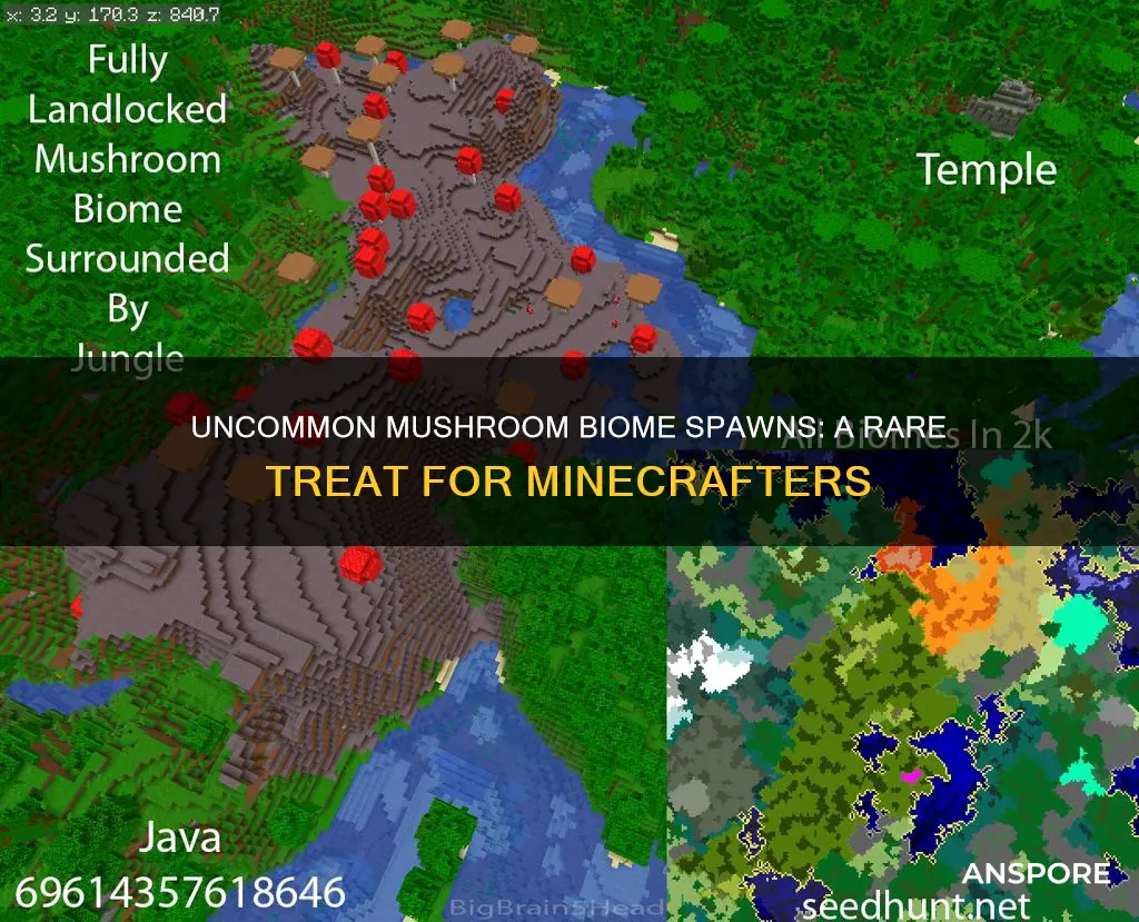 how rare is it to spawn in a mushroom biome