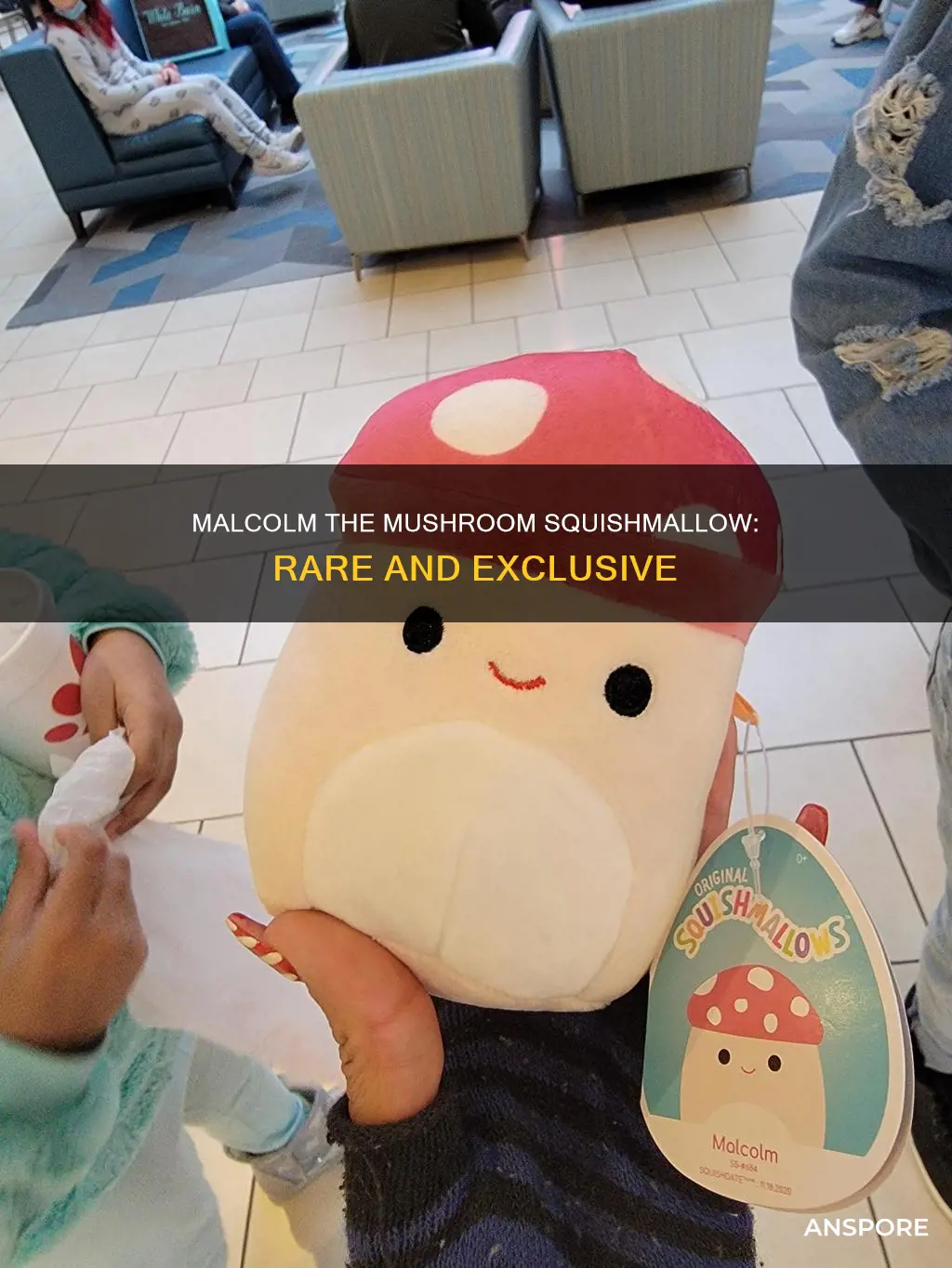 how rare is malcolm the mushroom squishmallow