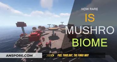 Mushroom Biomes: A Rare and Mystical World