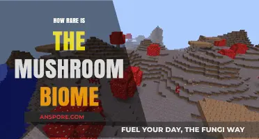 Mushroom Biome: A Rare and Unique Environment