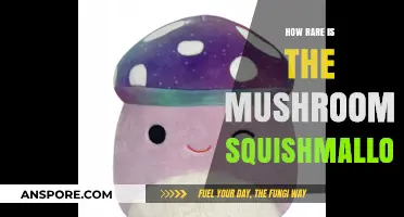 The Hunt for the Elusive Mushroom Squishmallow