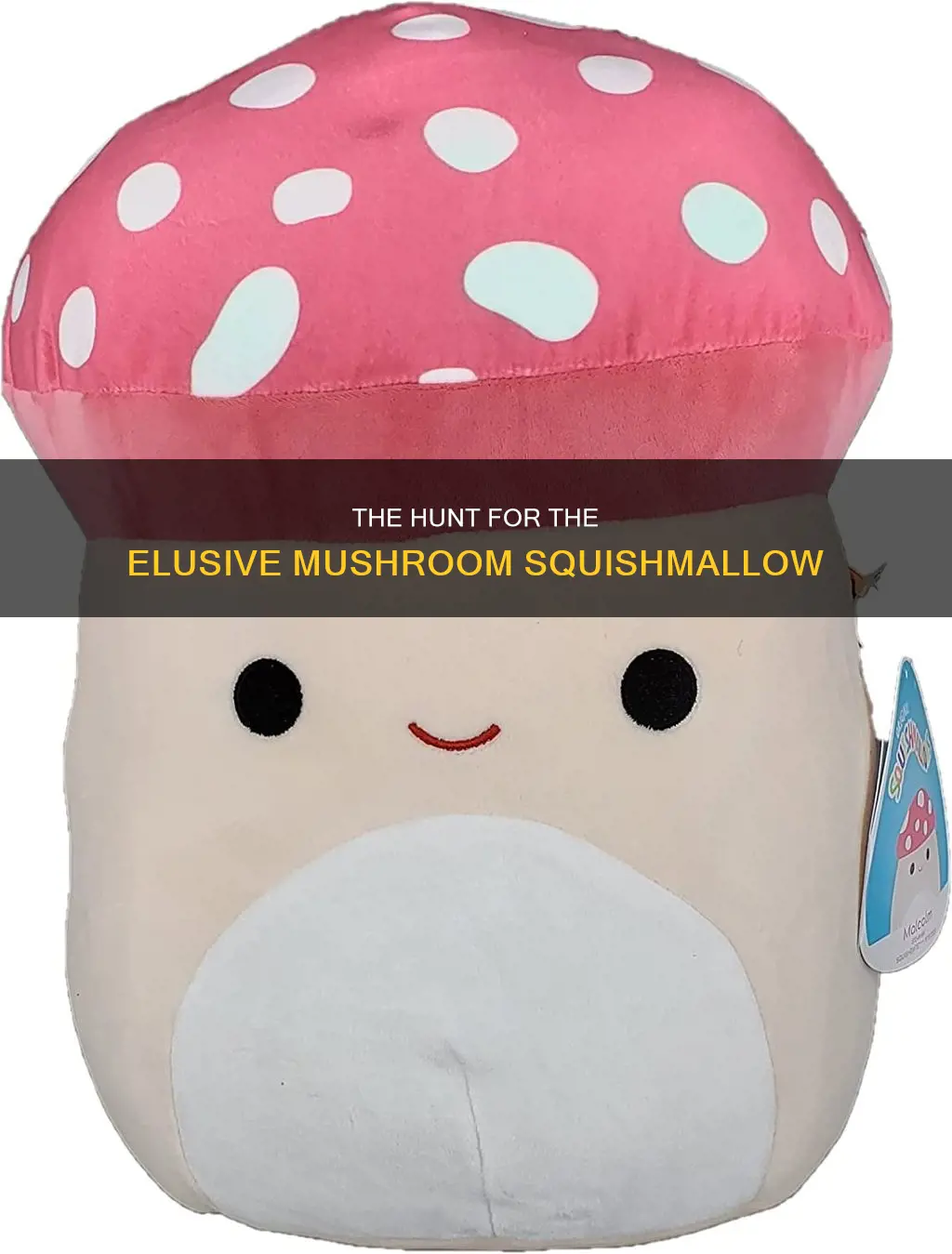 how rare is the mushroom squishmallow