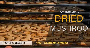 The Magic of Rehydrating Dried Mushrooms: A Quick Guide