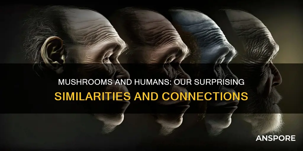 how related are humans to mushrooms