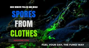 Effective Tips to Remove Pollen and Mold Spores from Your Clothes
