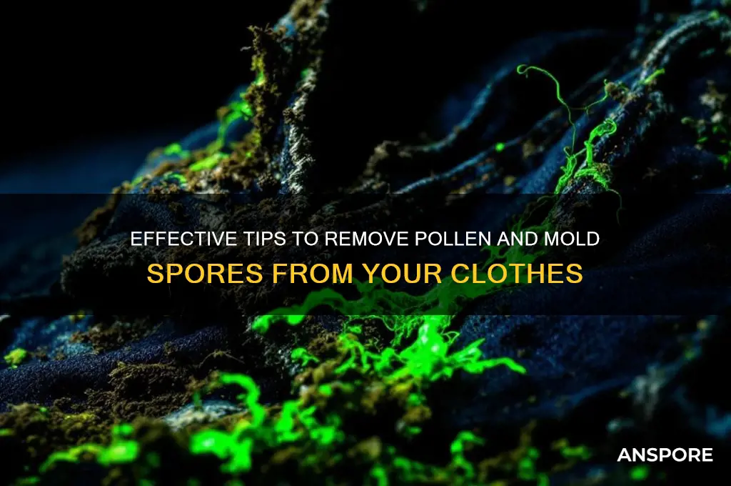 how remove pollen and mold spores from clothes