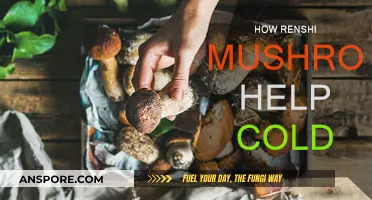 Renshi Mushrooms: Natural Cold Remedy