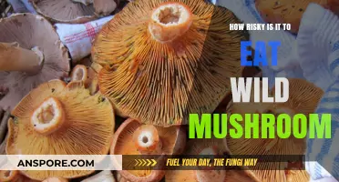 Wild Mushroom Risks: Safe Foraging or Deadly Gamble?