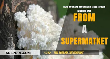 Growing Mushrooms from Store-Bought Fungi: A Simple DIY Guide